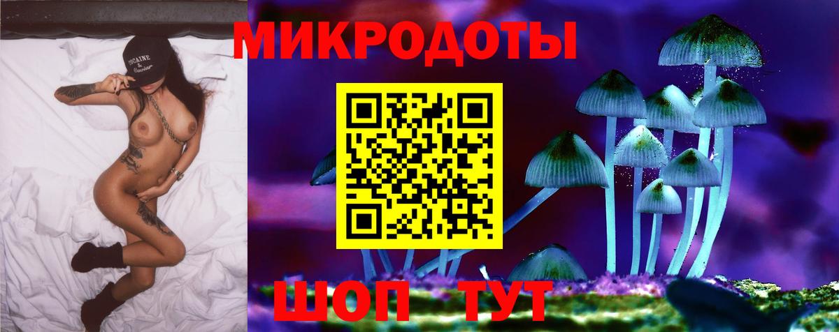 Брянск  Галлюциногенные грибы Psilocybine cubensis  Вход с VPN  Галлюциногенные грибы Cubensis 